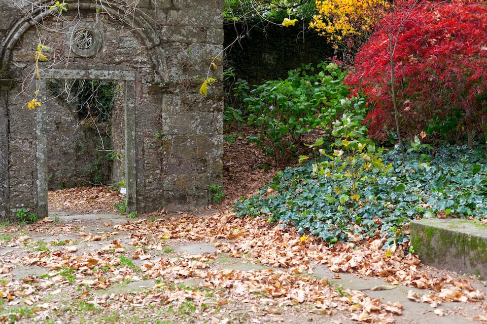 A stone archway surrounded by autumn leaves, a red-leaved tree, and green foliage.