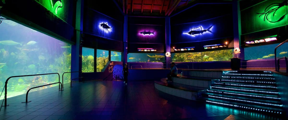 Veracruz Aquarium featuring interior views and marine life