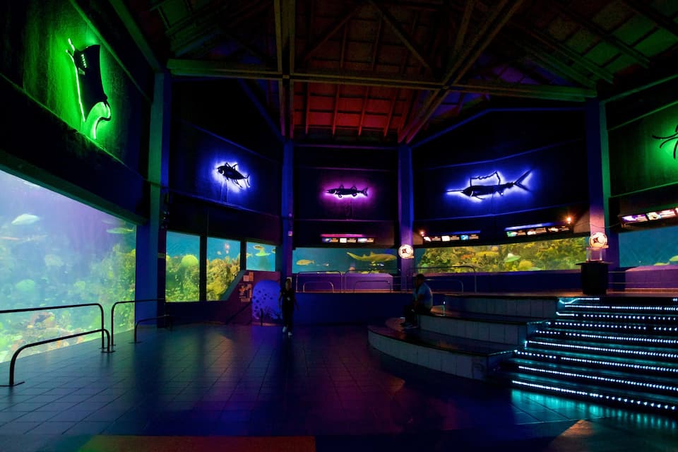 An aquarium with large tanks, underwater viewing areas, and illuminated fish displays.