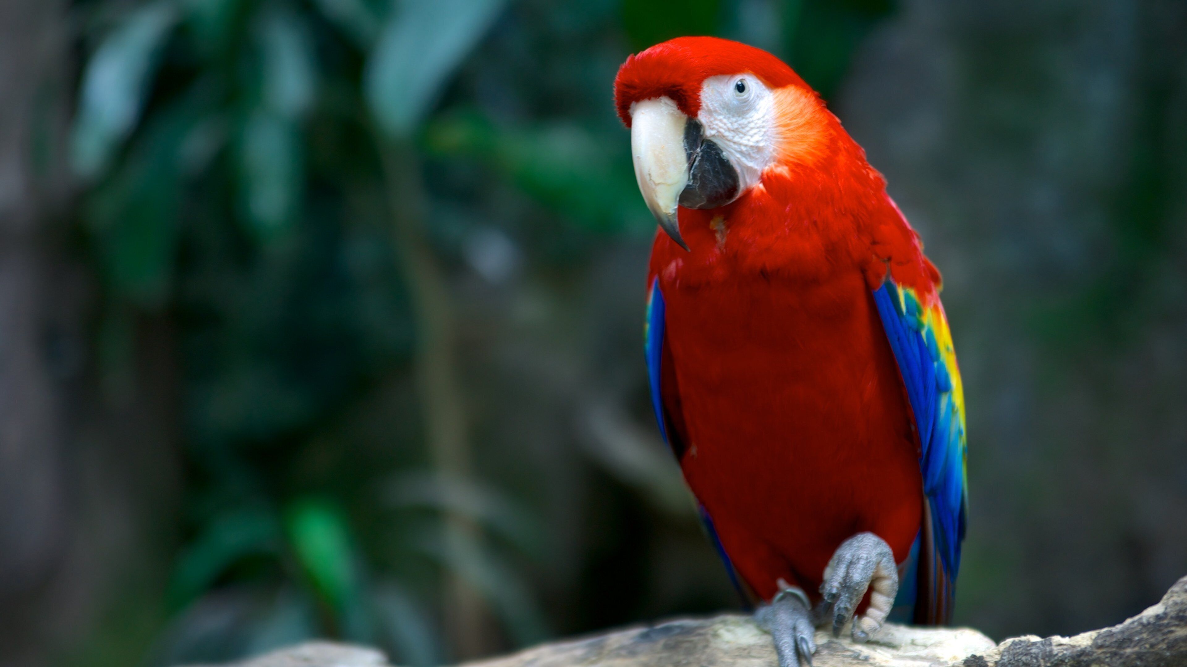 Veracruz Aquarium showing marine life and bird life