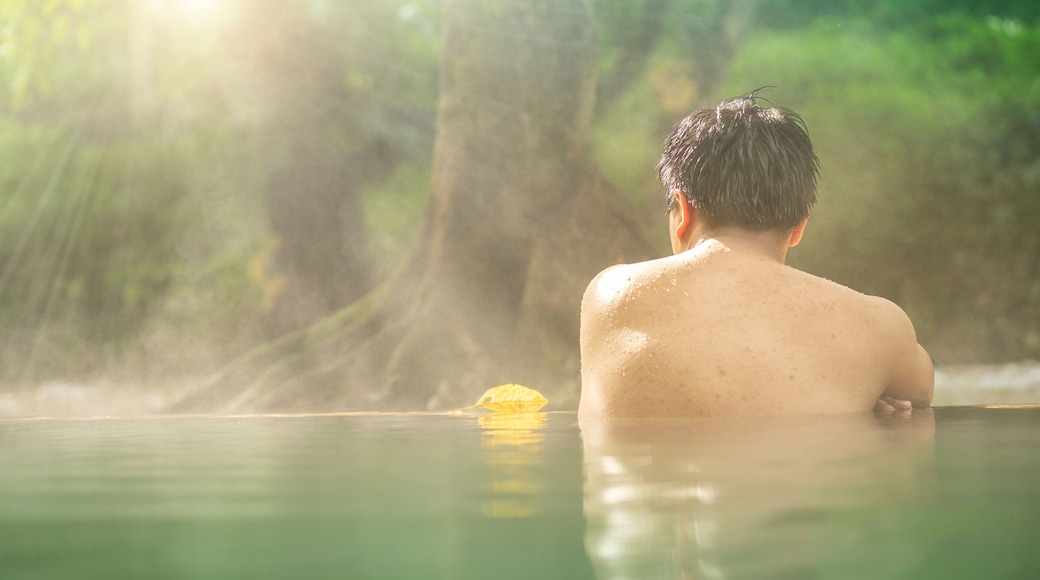 Fuentes terminales de Hin Dat