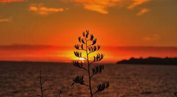 I am here on a holiday but this is the beach I grew up on pure New Zealand love