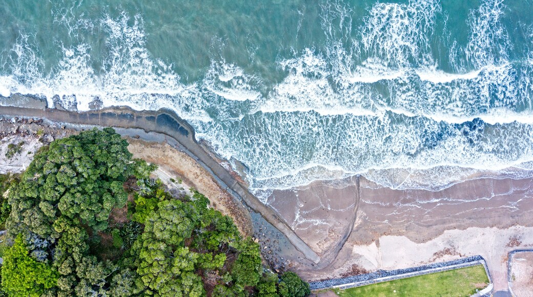 An aerial view of a coastal area with waves crashing onto the shore, a dense green forest, and a sandy beach.