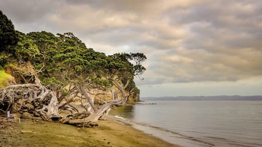 This is from a weekend trip to New Zealand in 2014.