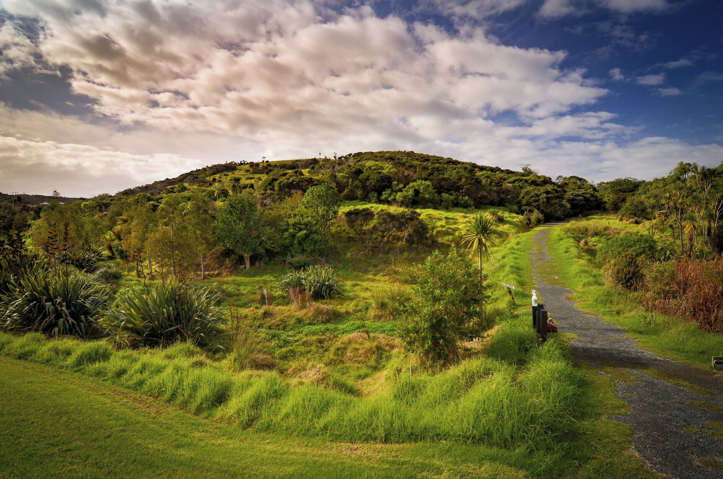 This is from a weekend trip to New Zealand in 2014.