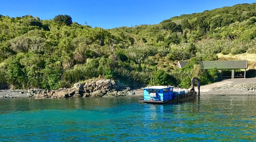 A barge waiting to be loaded at Tiritiri Matangi. Just a short boat or ferry ride from Auckland city this island is a pristine DOC site and has some amazing bird watching opportunities and walking trails. #LifeAtExpedia