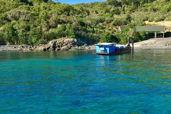 A barge waiting to be loaded at Tiritiri Matangi. Just a short boat or ferry ride from Auckland city this island is a pristine DOC site and has some amazing bird watching opportunities and walking trails. #LifeAtExpedia