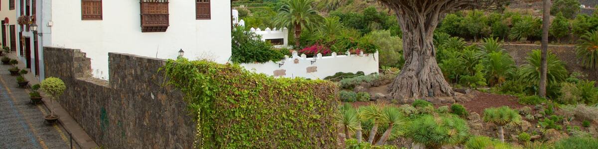 Ancient Dragon Tree which includes a small town or village