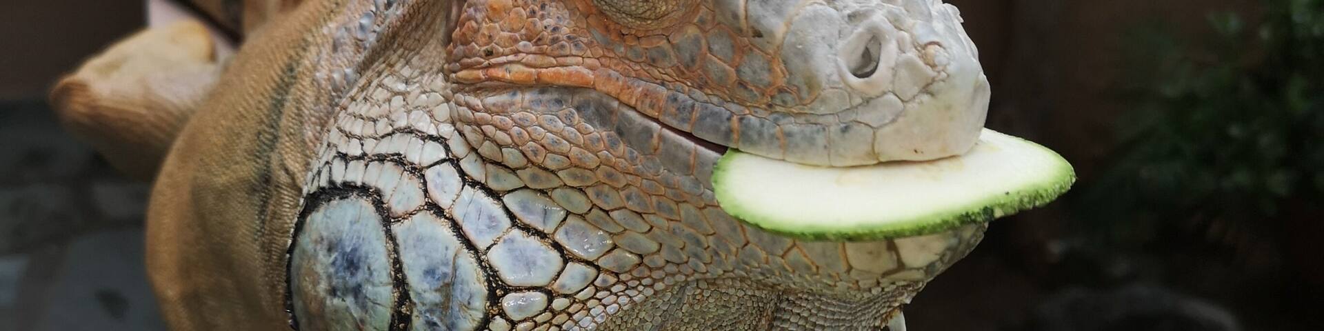 Too sleepy to eat breakfast today 😊