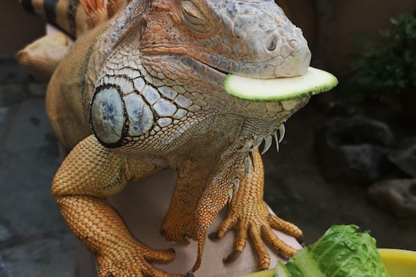 Too sleepy to eat breakfast today 😊