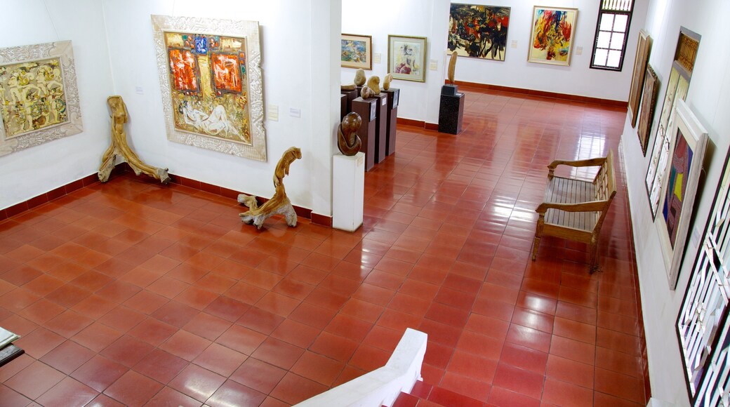 Museo de arte Neka mostrando arte y vistas interiores