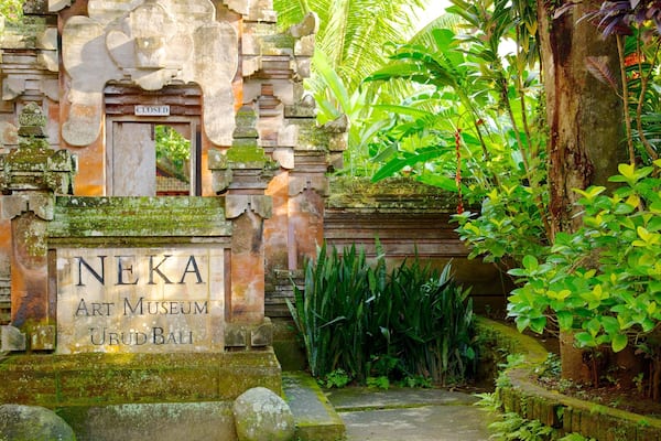 Neka Art Museum featuring signage and a park