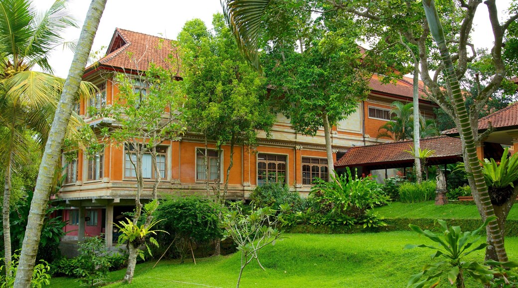 Museo d\'arte di Neka mostrando casa e giardino