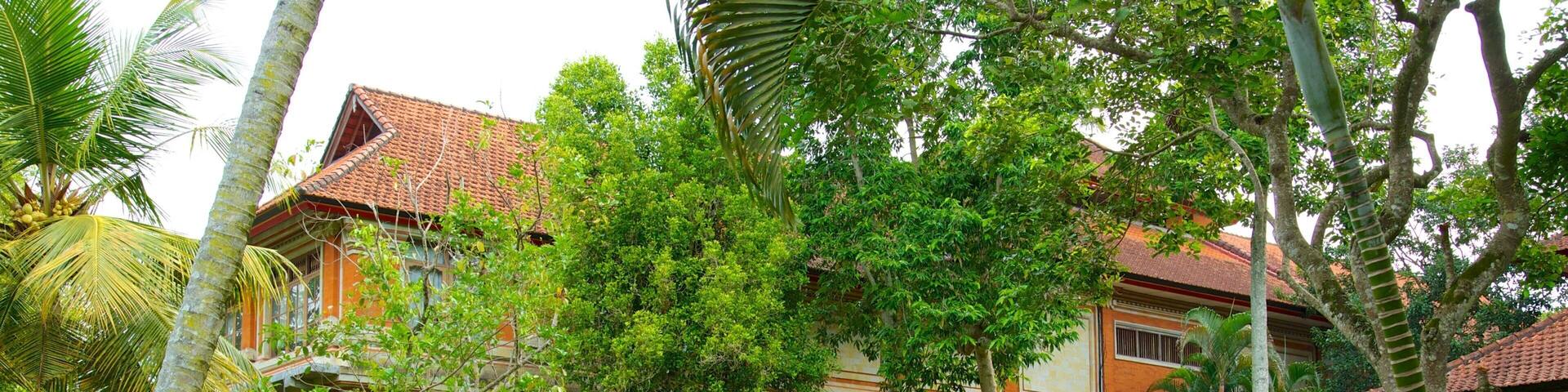 Neka Art Museum featuring a house and a park