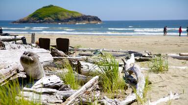Long Beach featuring general coastal views and a sandy beach