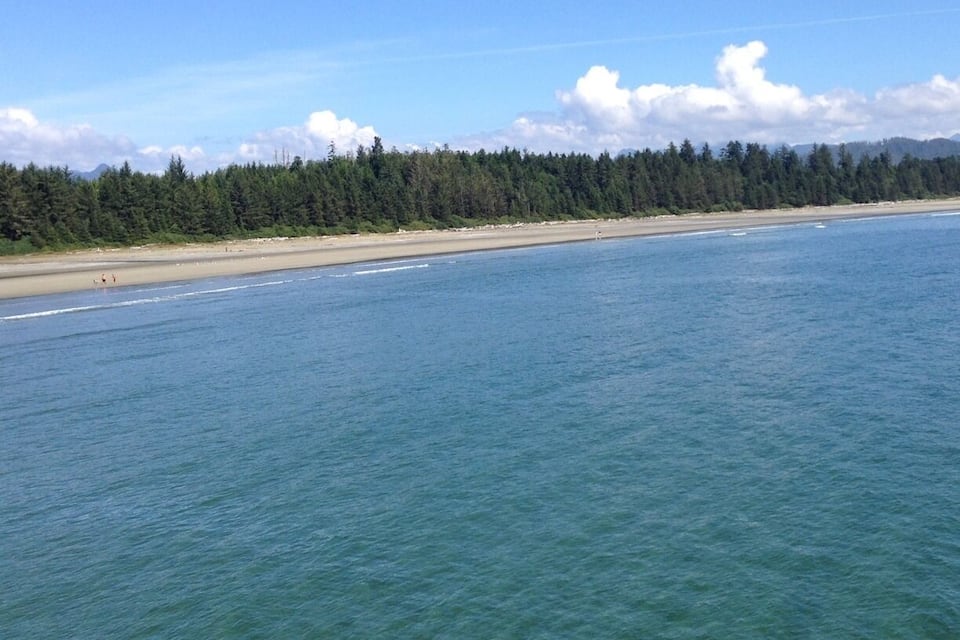 A coastal landscape with a sandy beach, clear blue water, and a dense forest in the background.