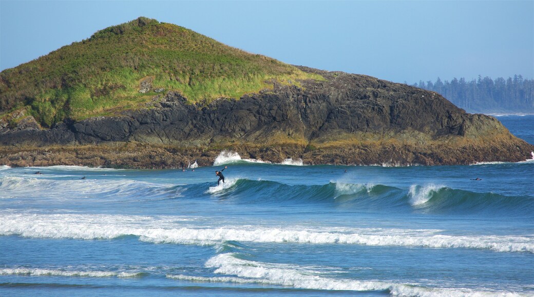 Long Beach mostrando surf, costa frastagliata e vista della costa