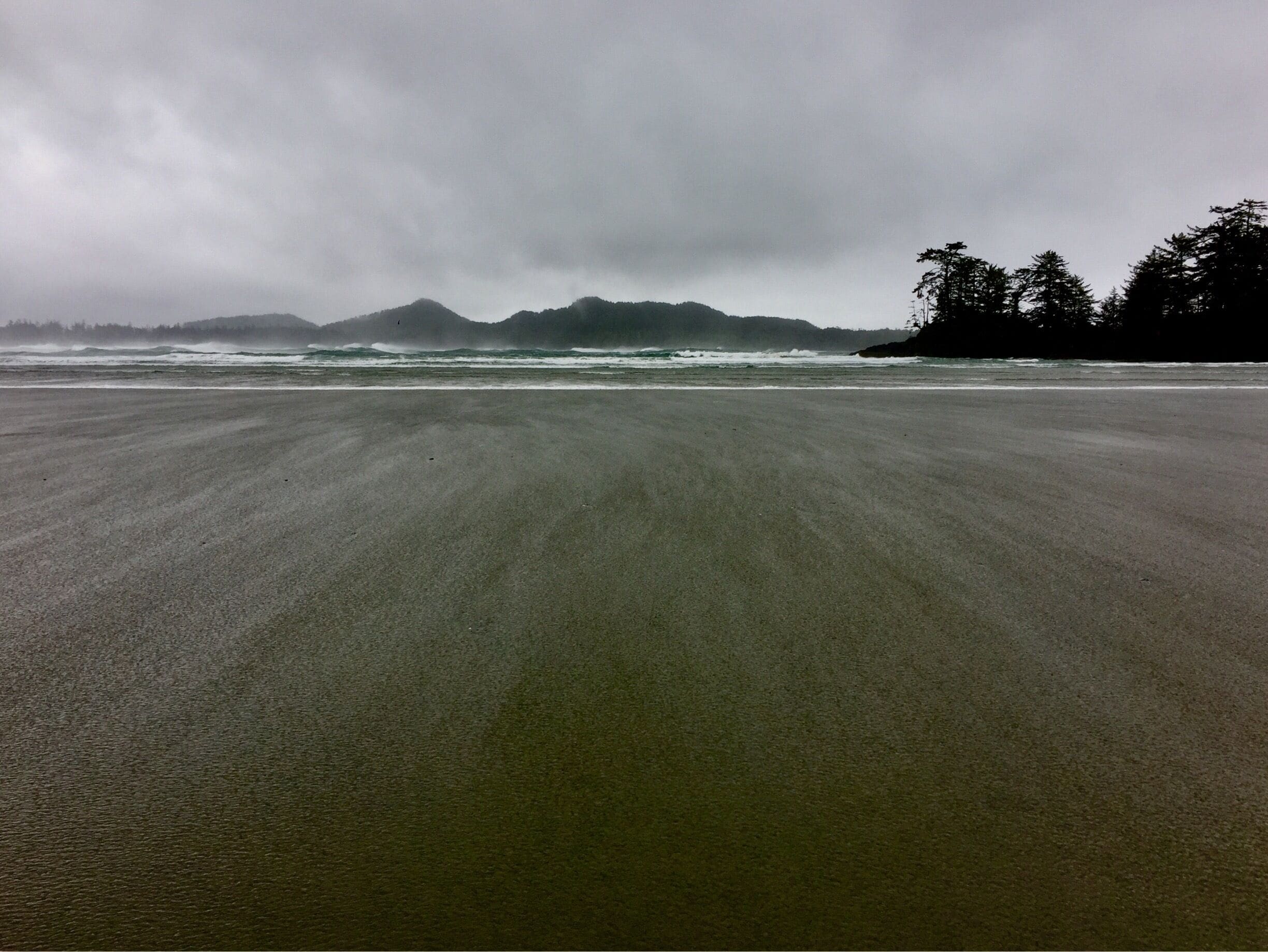 The crash of the waves and the power of nature is something to behold in Tofino, BC