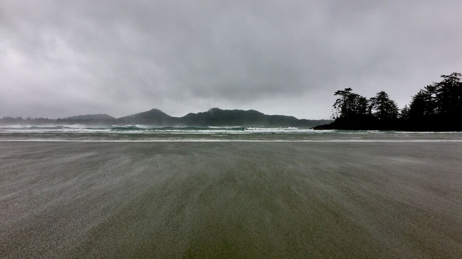 The crash of the waves and the power of nature is something to behold in Tofino, BC