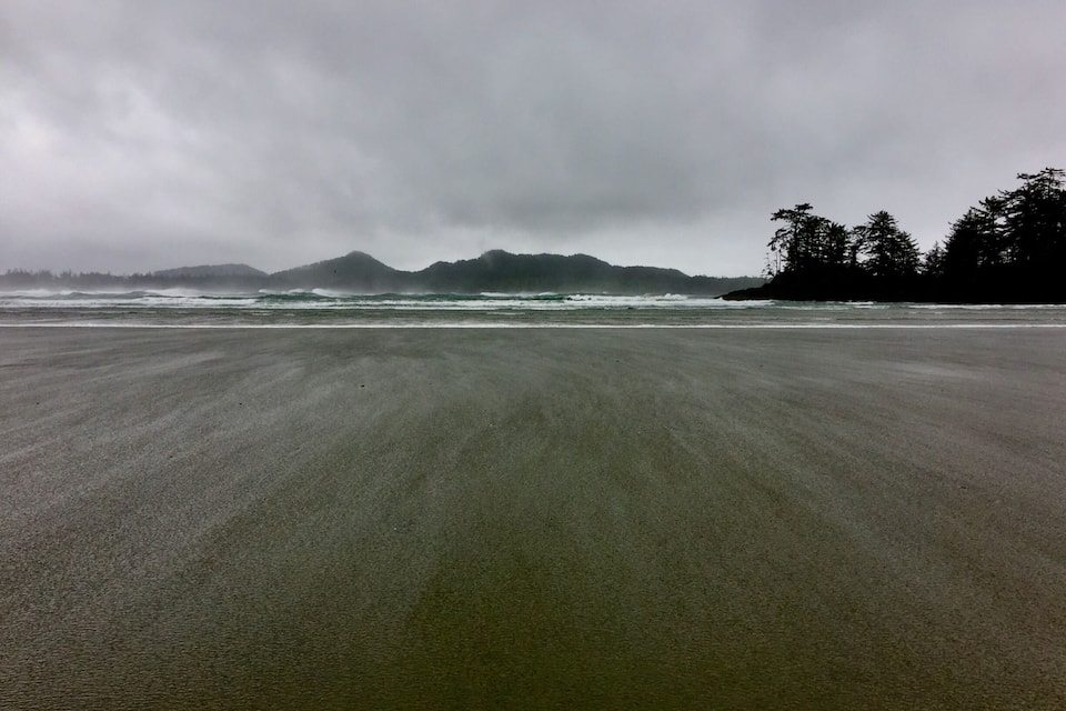A beach with waves approaching the shore, a distant mountain range, and a line of trees on the right.