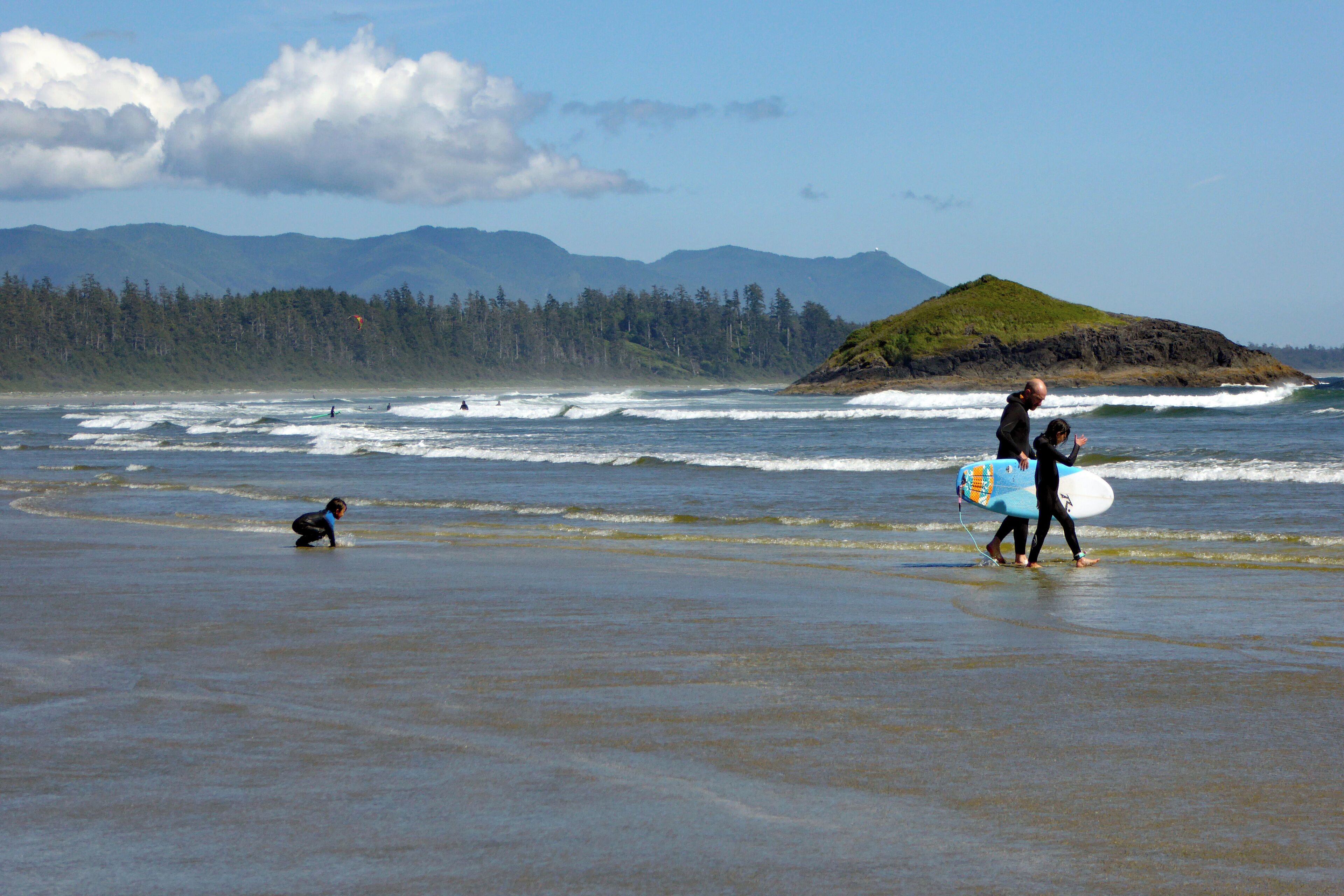 A beach with waves, a dog, and a person carrying a surfboard.