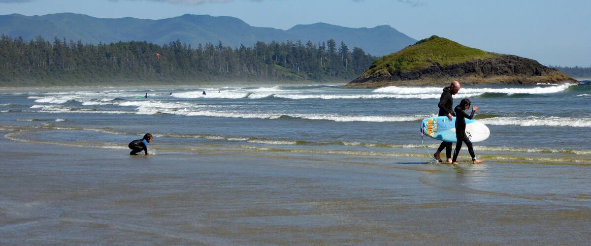 A beach with waves, a dog, and a person carrying a surfboard.