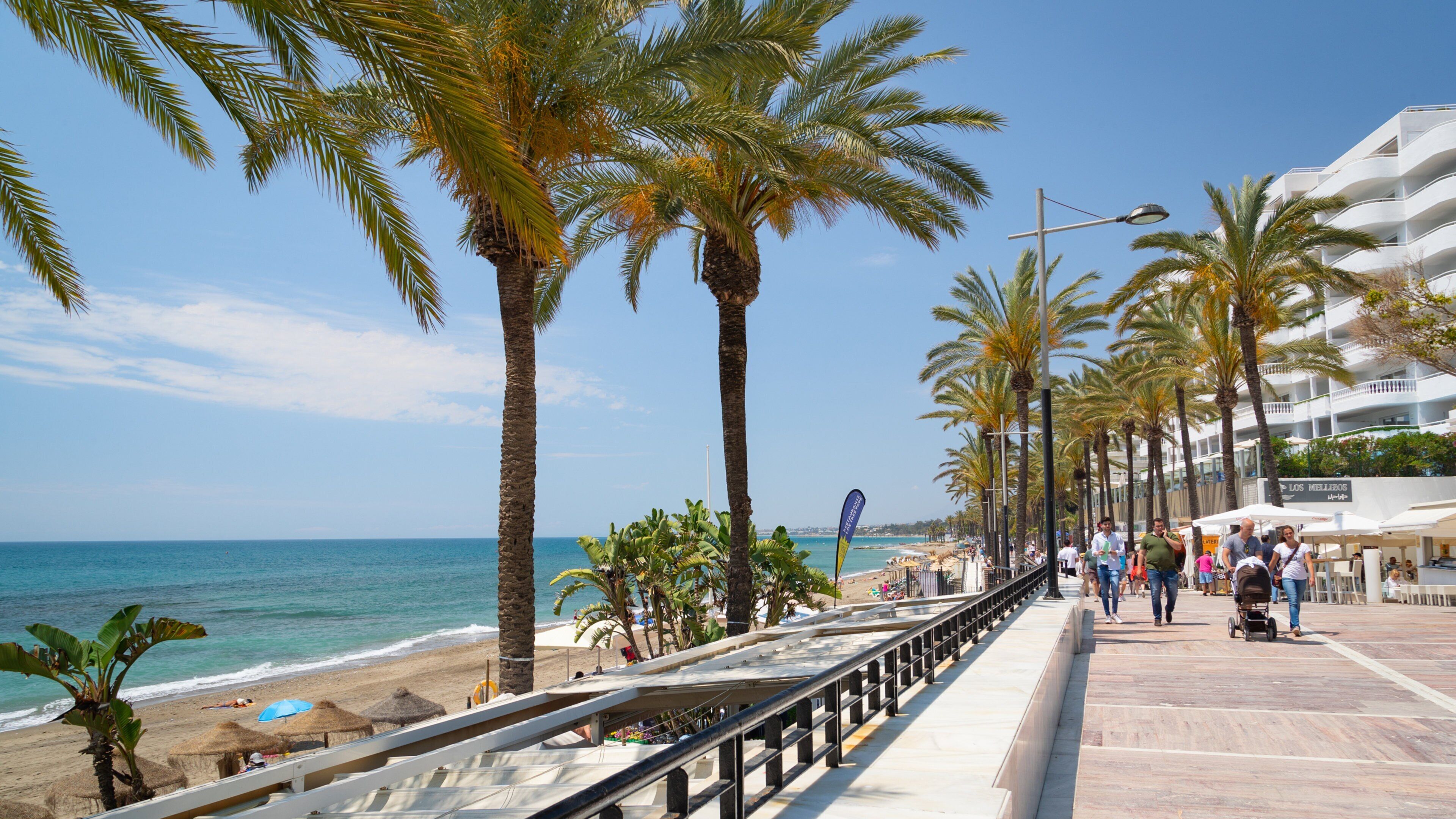 Marbella Seafront Promenade which includes general coastal views and a coastal town