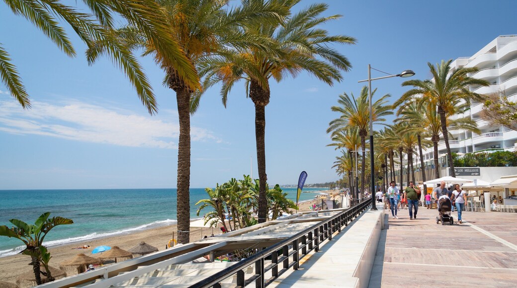 Marbella Seafront Promenade which includes general coastal views and a coastal town