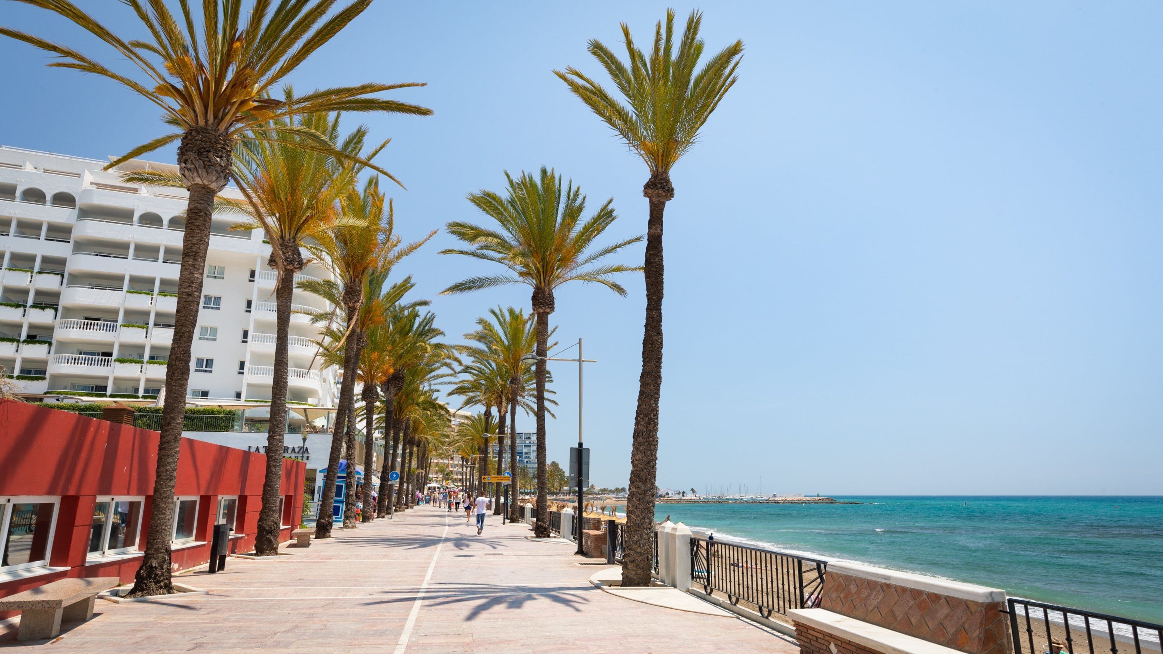 A coastal promenade lined with palm trees and a white building with balconies.