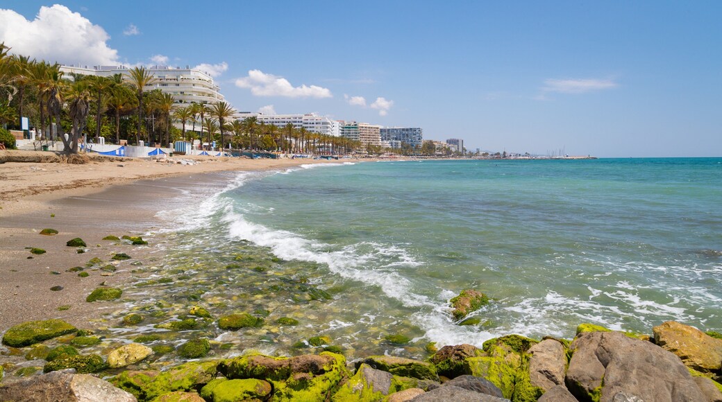 Marbella Seafront Promenade featuring general coastal views