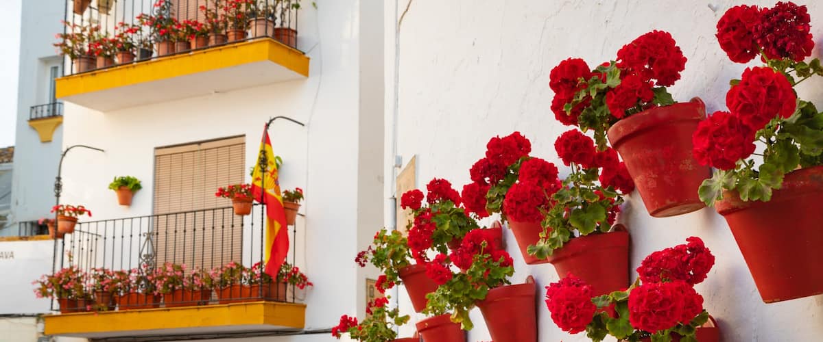 Marbella Old Town showing flowers