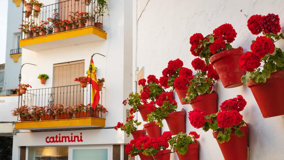 Marbella Old Town showing flowers