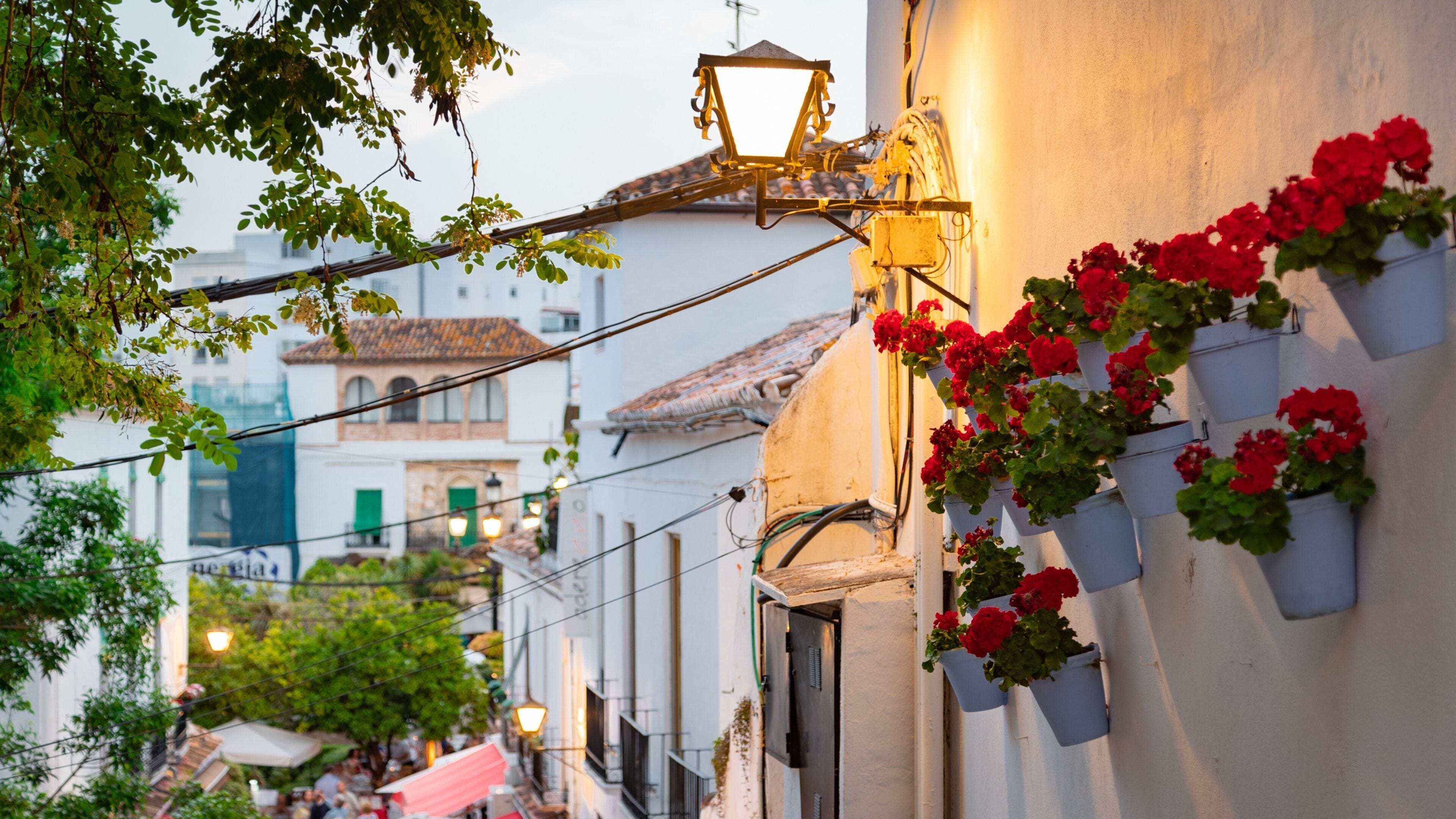 Marbella Old Town showing flowers