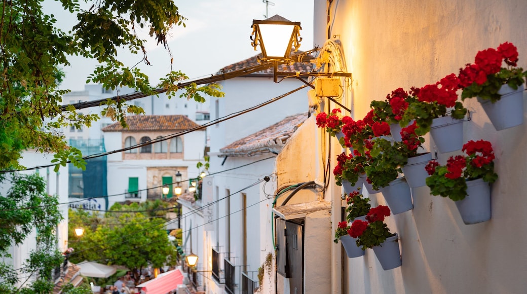 Marbella Old Town showing flowers