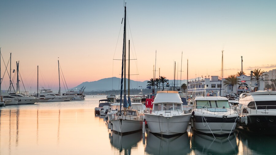 Marbella Marina showing a bay or harbor and a sunset