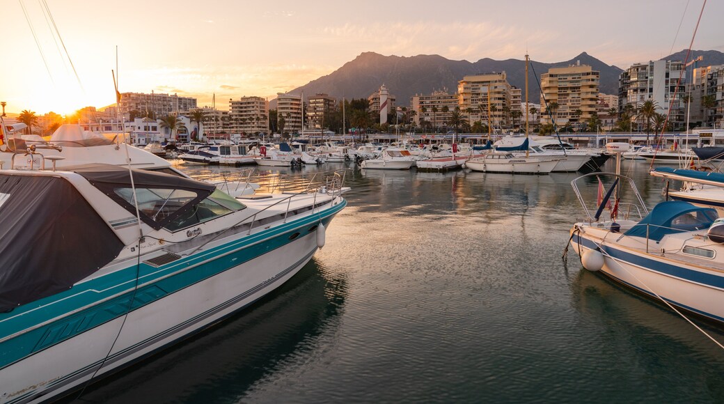 Marbella Marina showing a bay or harbor and a sunset