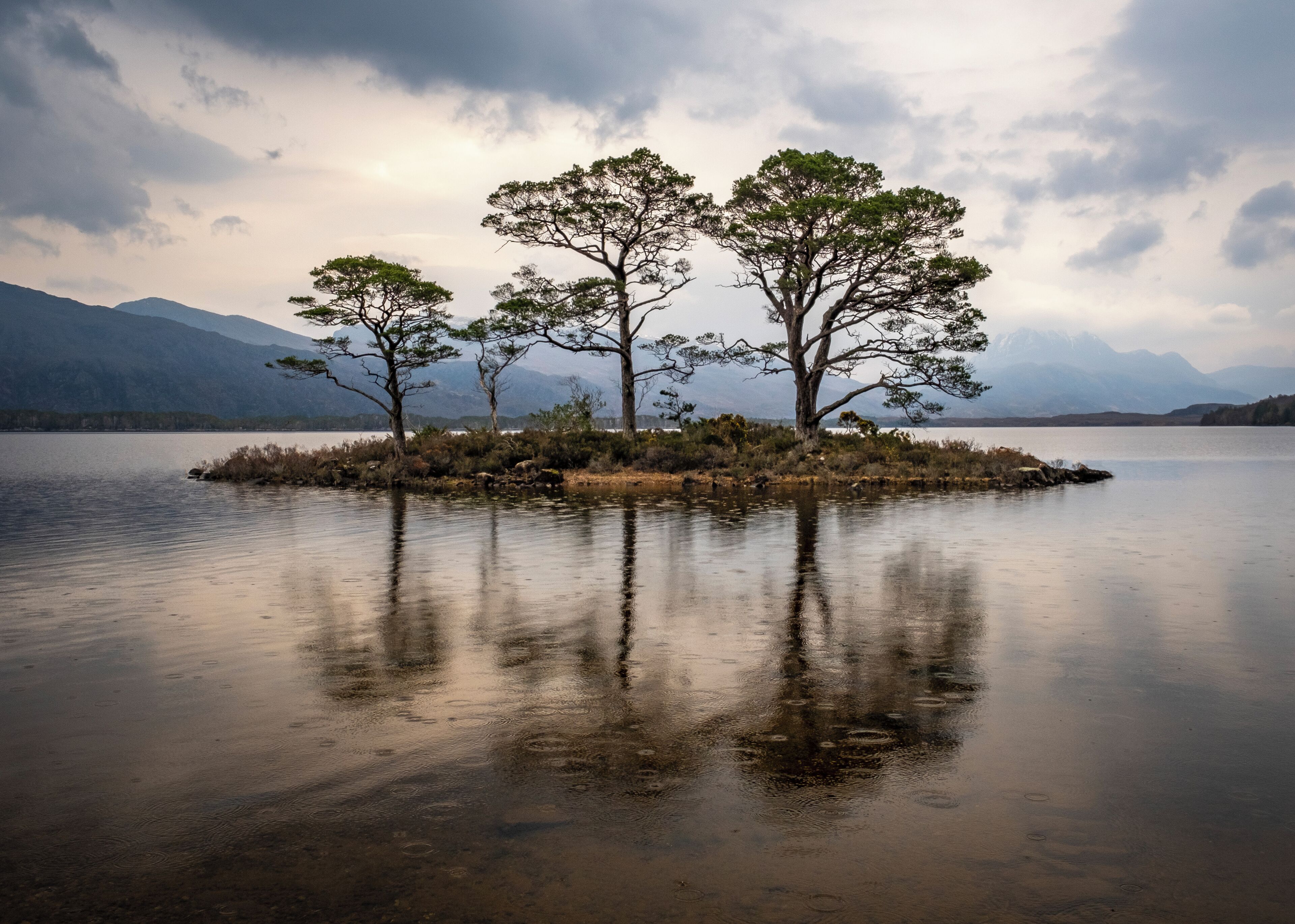 A small Island in Loch Maree.