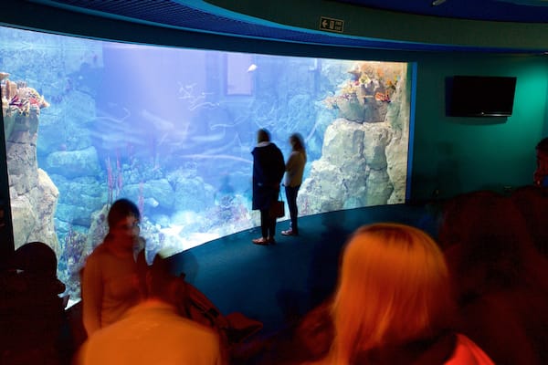 National Marine Aquarium which includes interior views and marine life