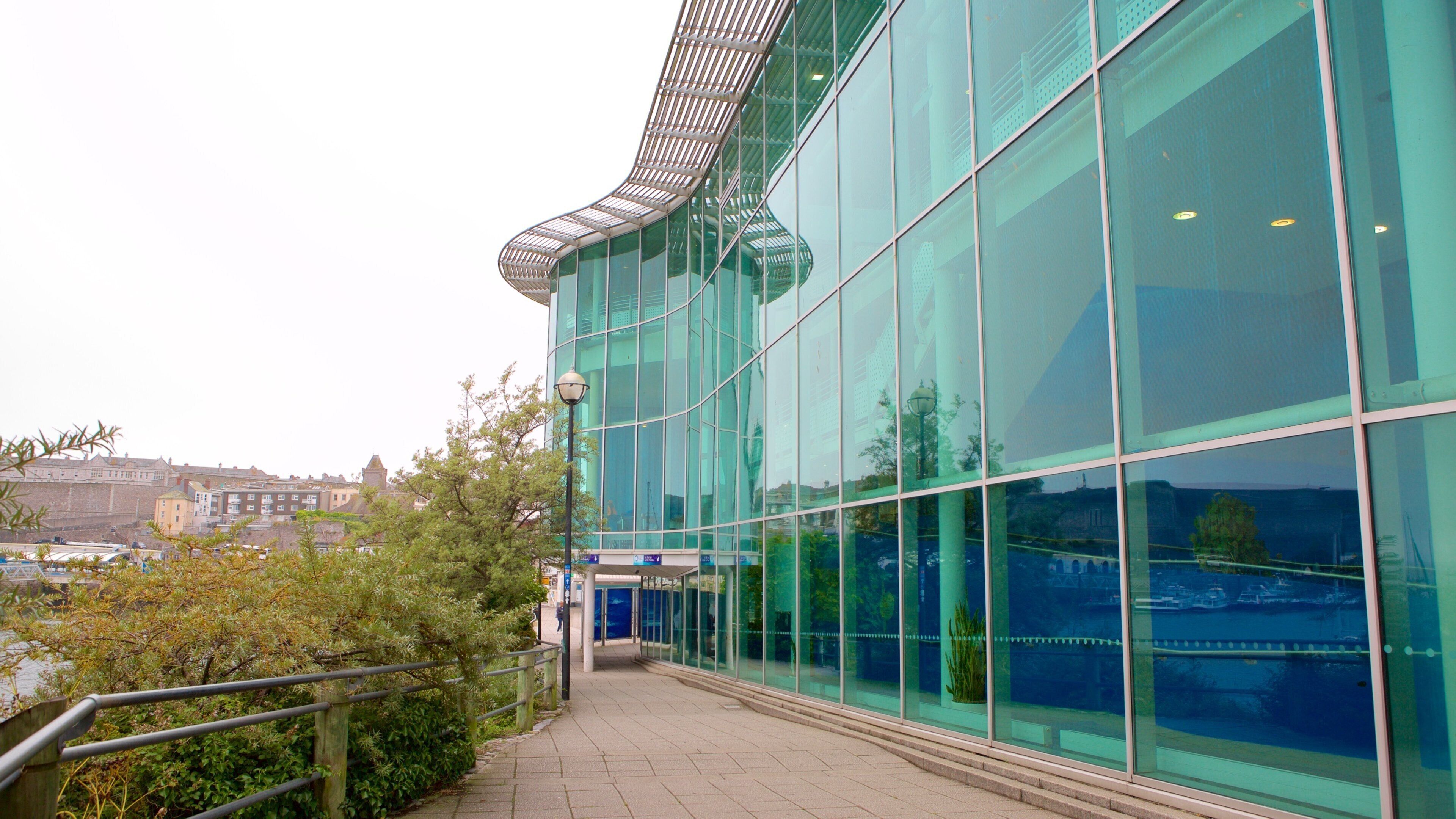 National Marine Aquarium which includes marine life