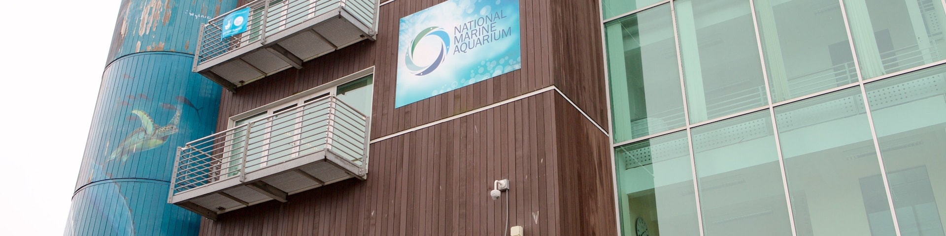 National Marine Aquarium showing marine life