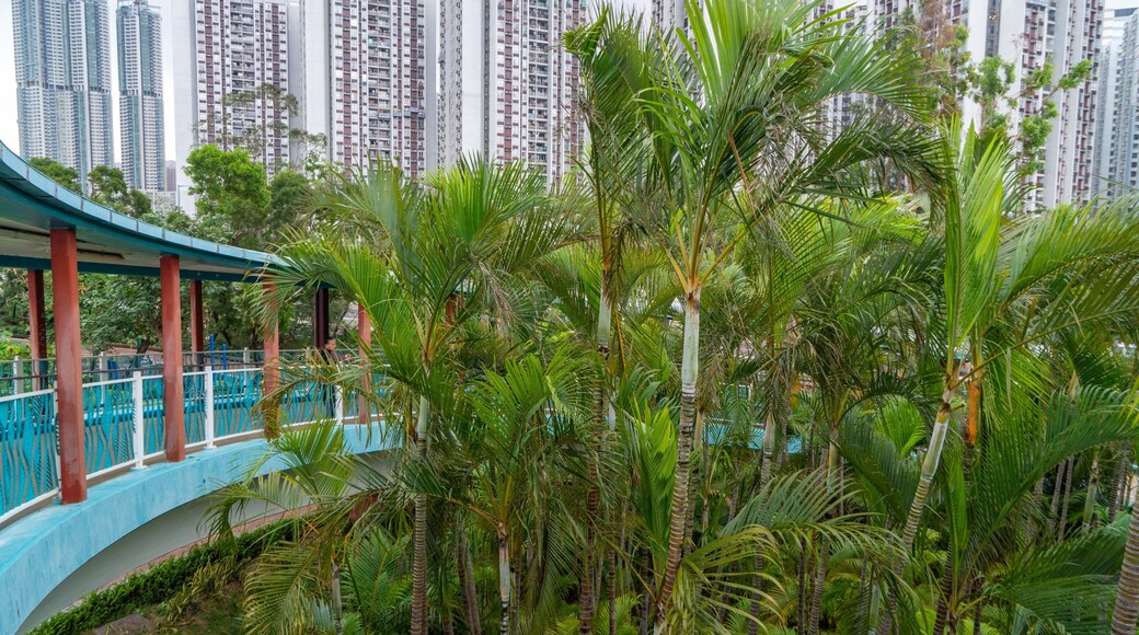 The Grand Promenade which includes a garden