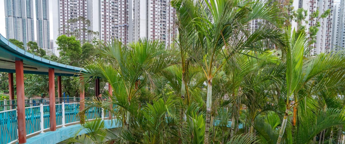 The Grand Promenade which includes a garden