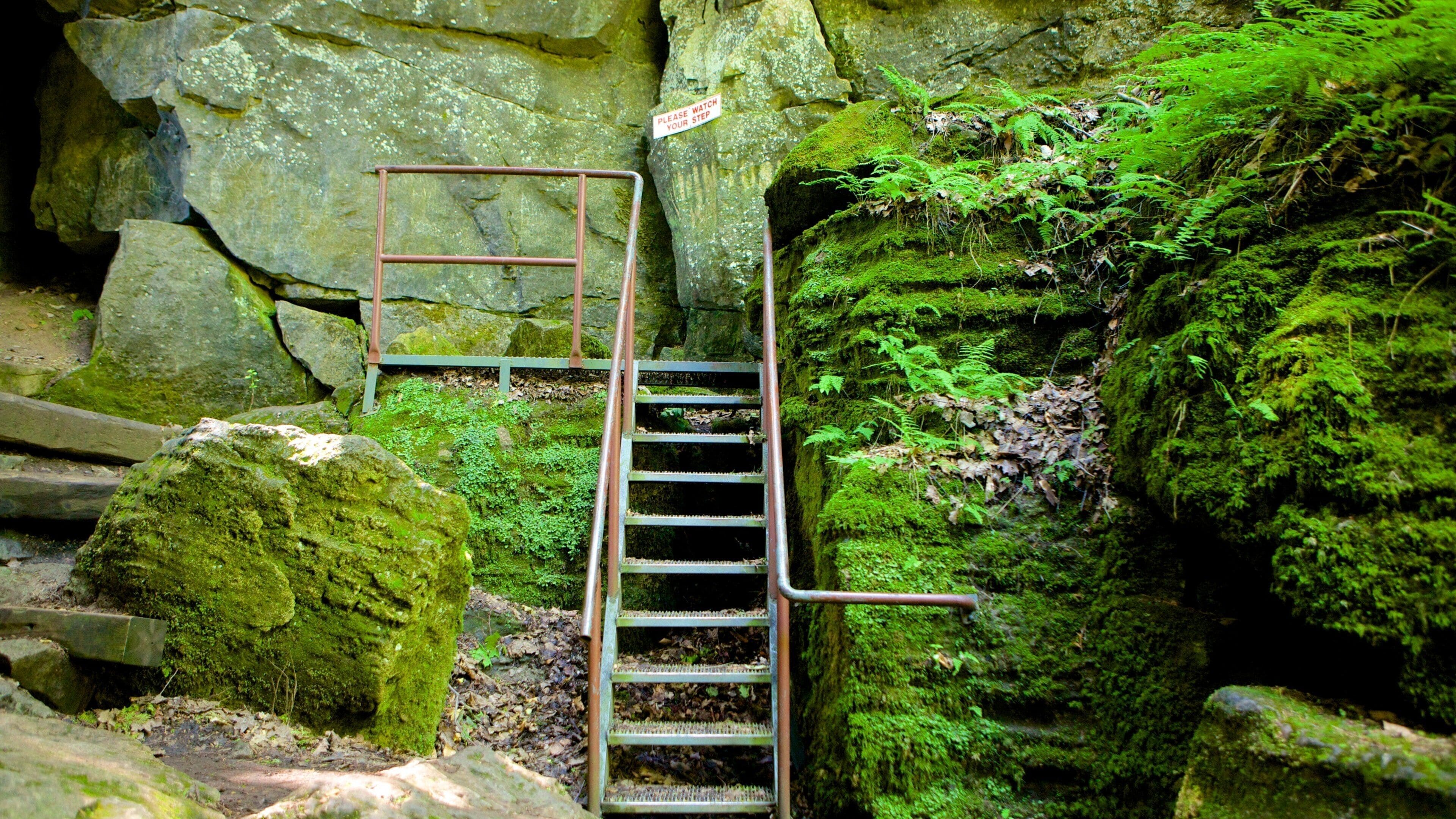 科林伍德風景區洞穴 呈现出 洞穴