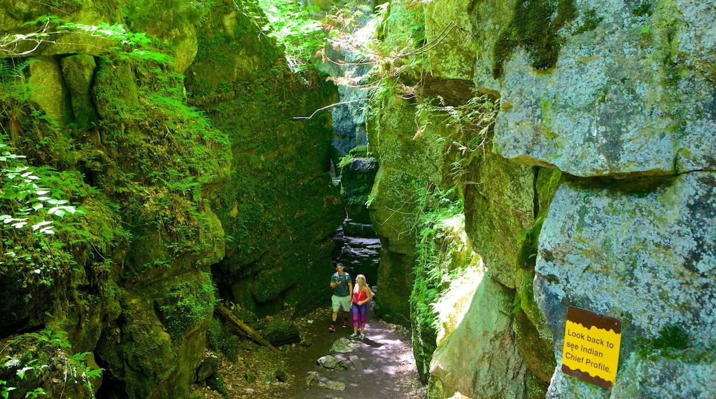 Collingwood Scenic Caves which includes caving and caves