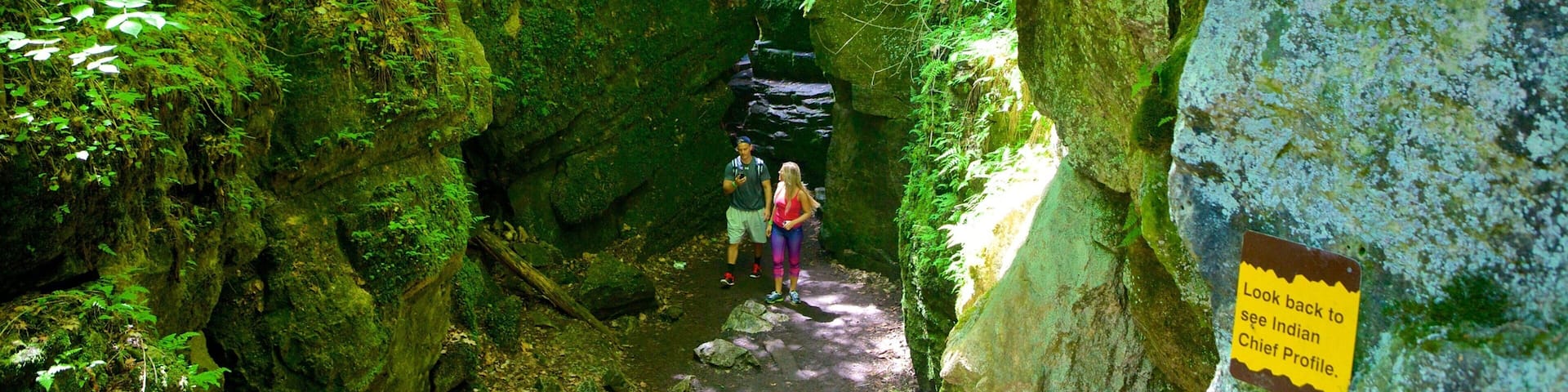 Collingwood Scenic Caves welches beinhaltet Höhlenwandern und Höhlen