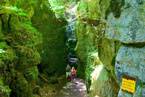 コリングウッド シーニック ケイブ どの含み 洞窟探検 と 洞窟