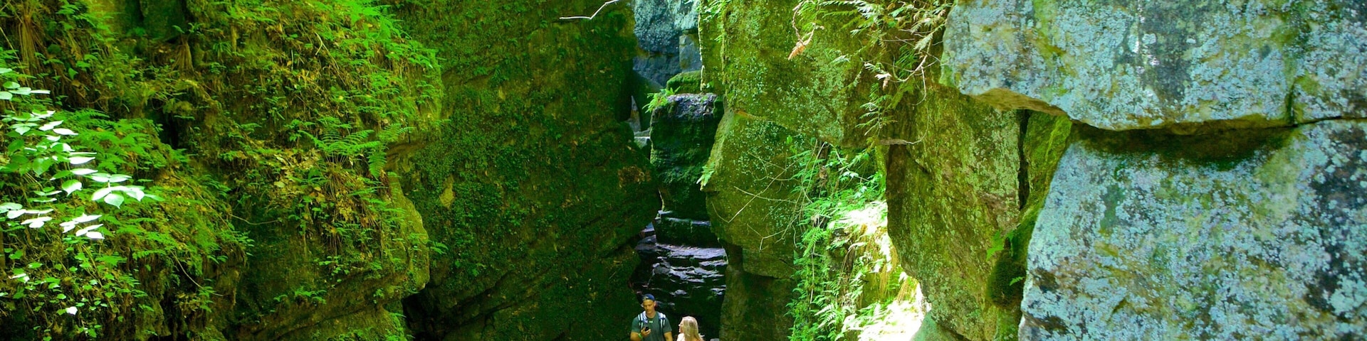 Collingwood Scenic Caves which includes caving and caves