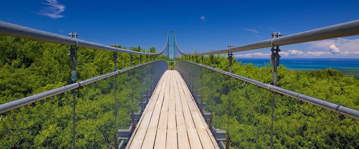 A suspension bridge with a wooden walkway, surrounded by lush greenery and overlooking a body of water.