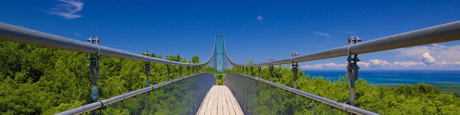 A suspension bridge with a wooden walkway, surrounded by lush greenery and overlooking a body of water.