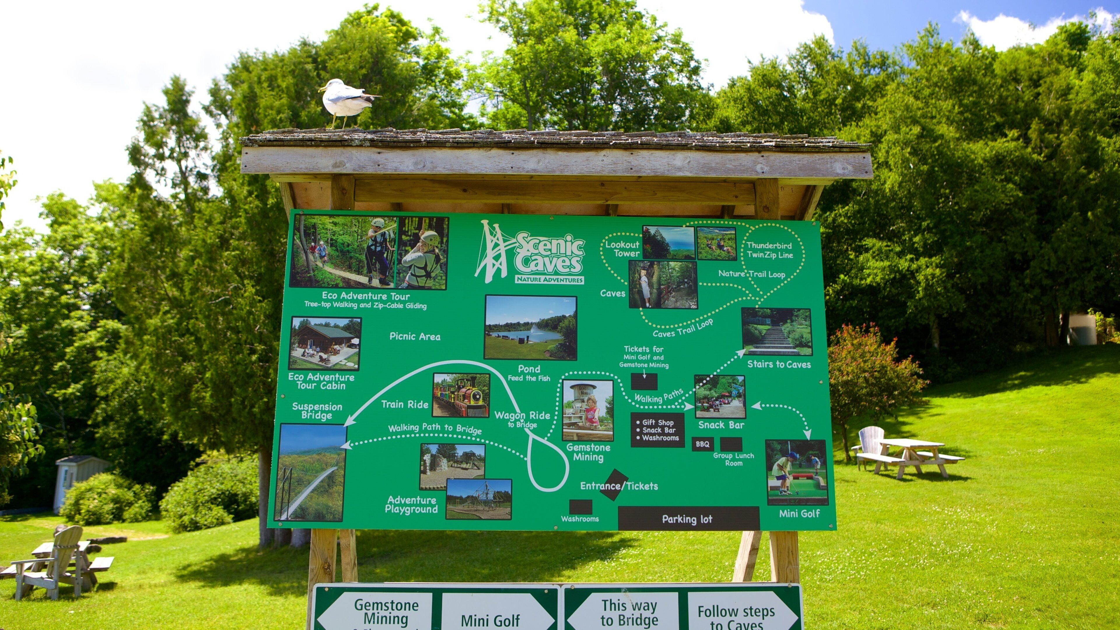 Collingwood Scenic Caves showing signage